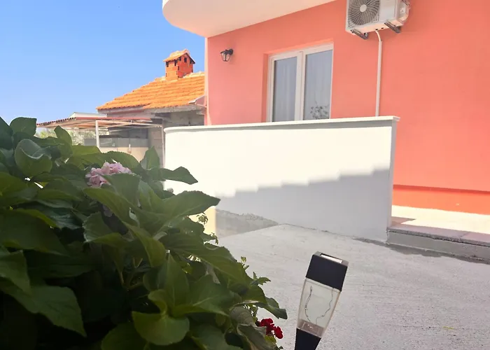 Conte čikarini Daire